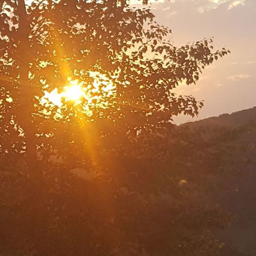 Meet your Posher, Melinda